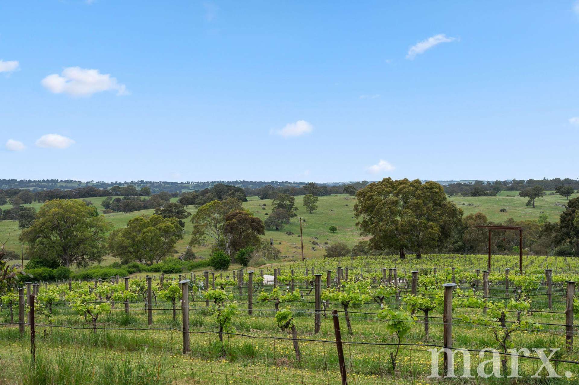 24 Randalls Road, Flaxman Valley For Sale by Farmbuy.com - image 26