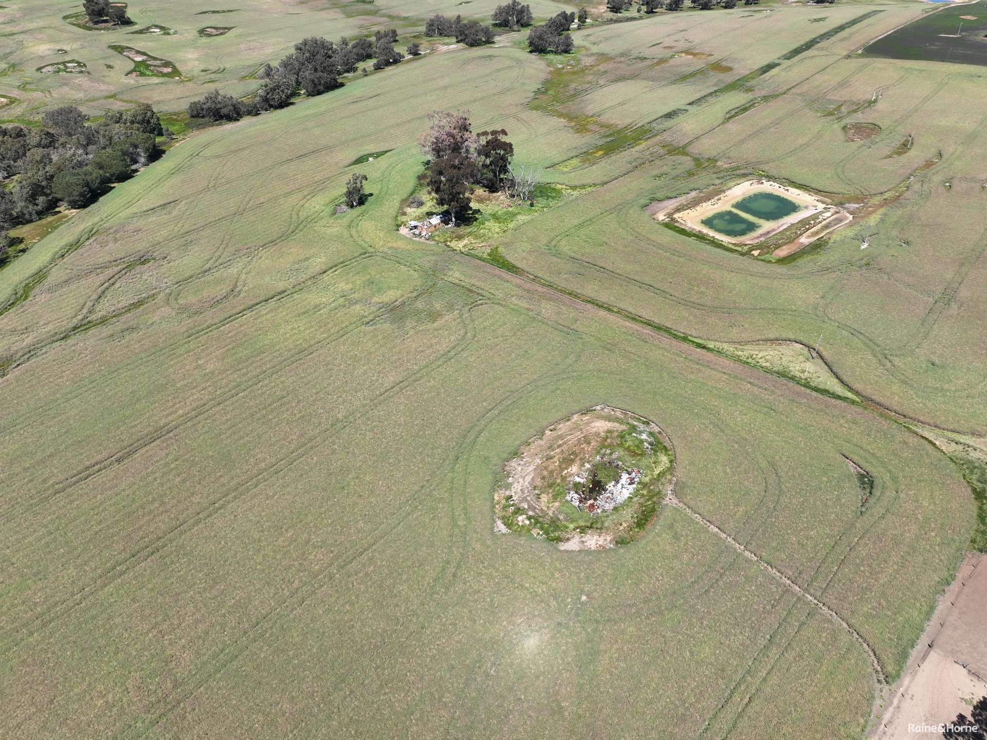 201 Jeffs Road, Jingalup For Sale by Farmbuy.com - image 4