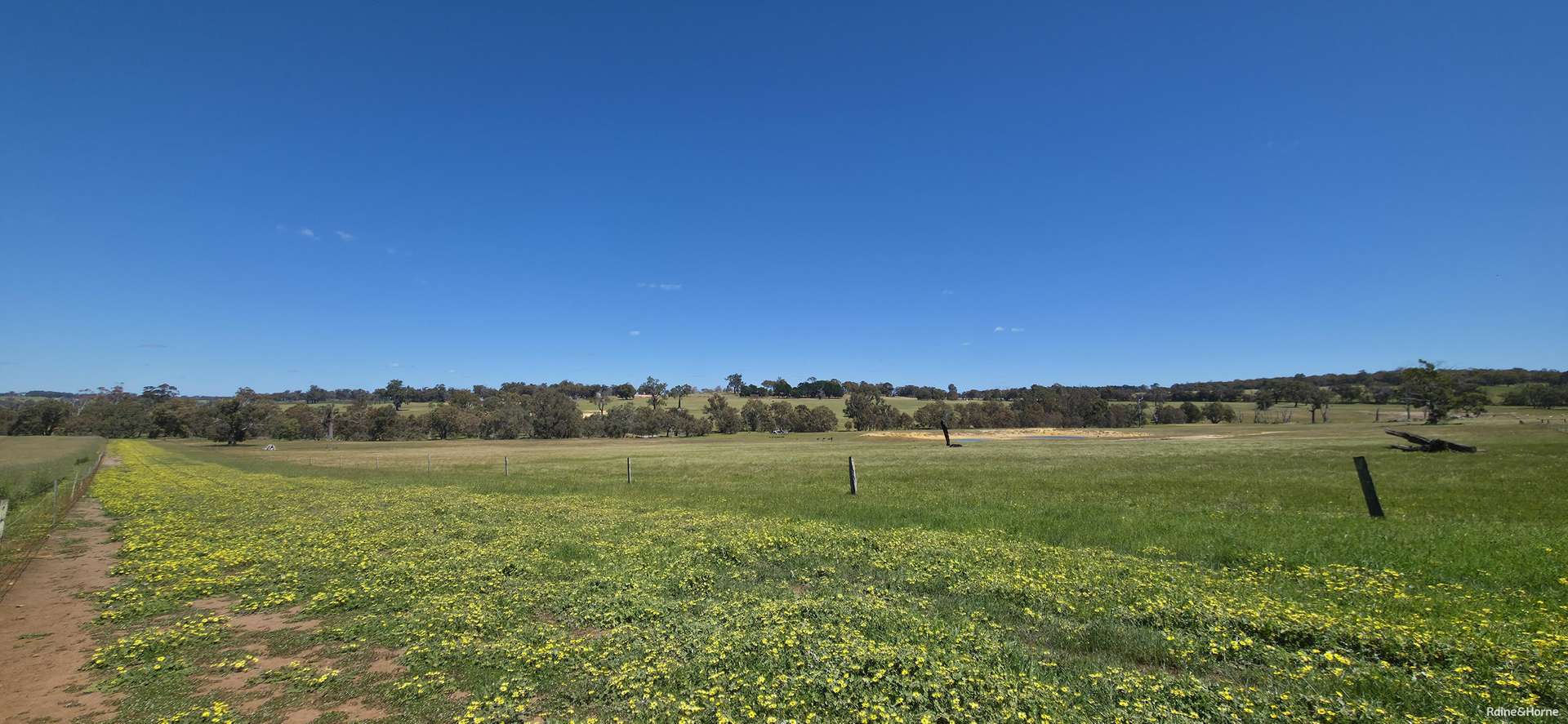 201 Jeffs Road, Jingalup For Sale by Farmbuy.com - image 23