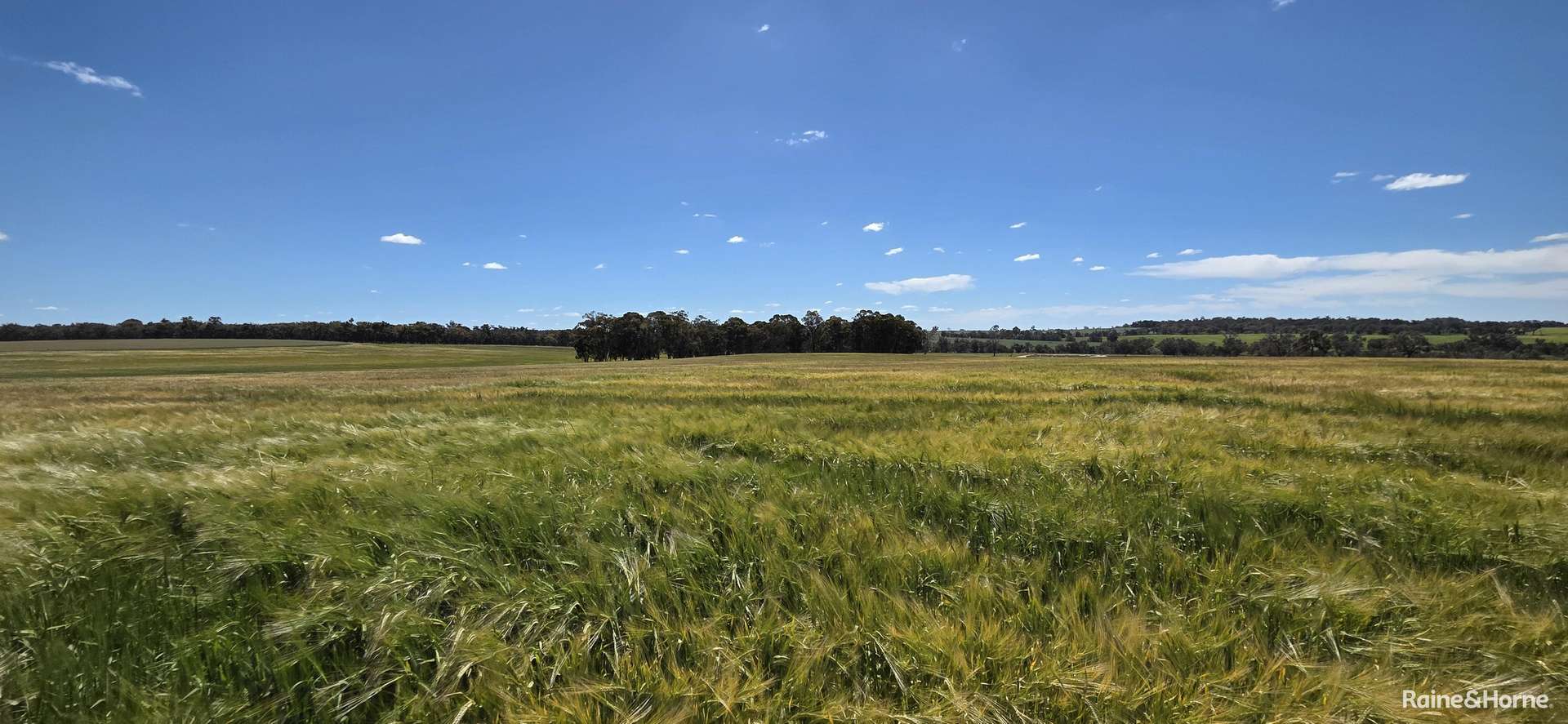 201 Jeffs Road, Jingalup For Sale by Farmbuy.com - image 7