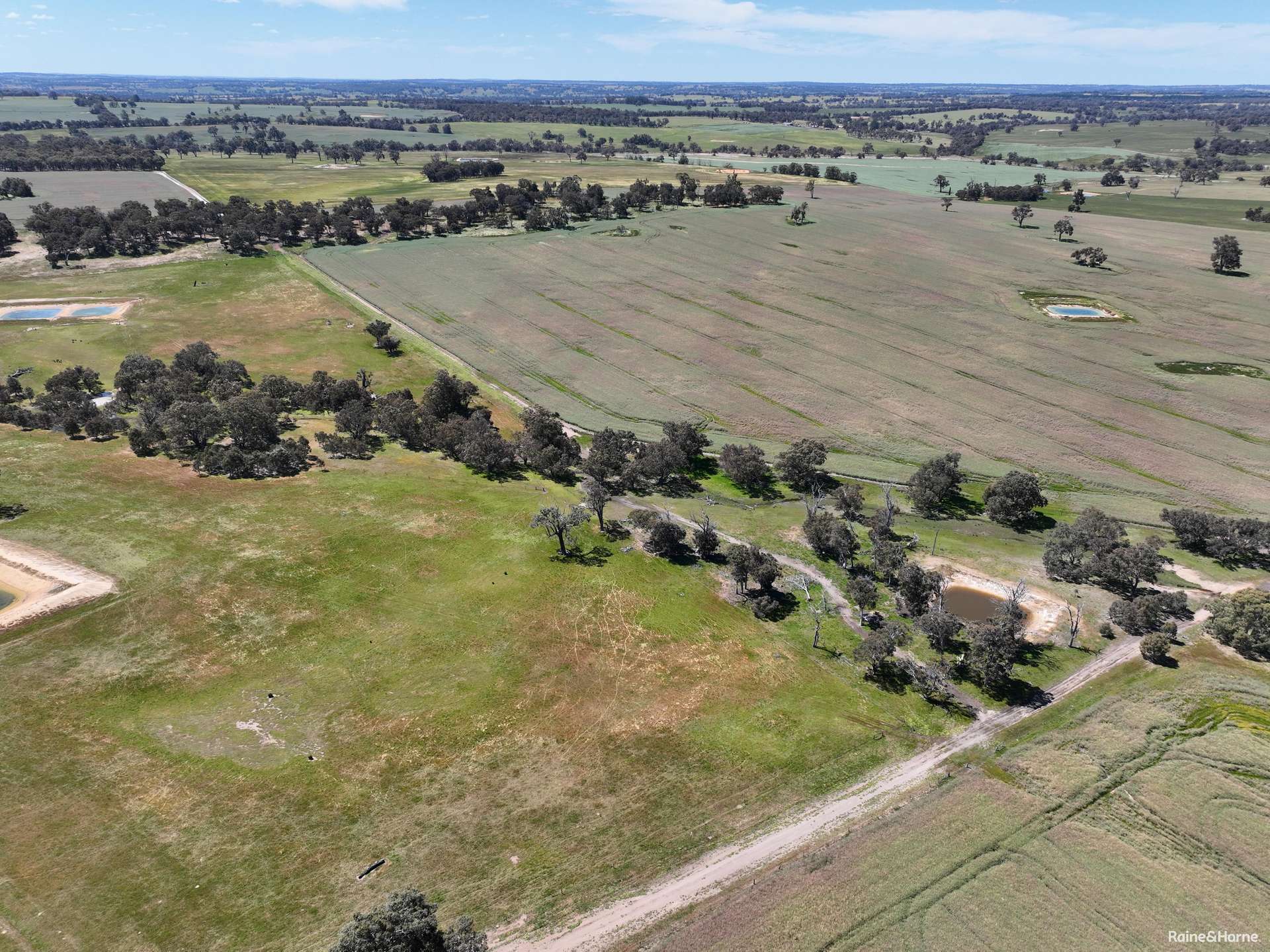 201 Jeffs Road, Jingalup For Sale by Farmbuy.com - image 9