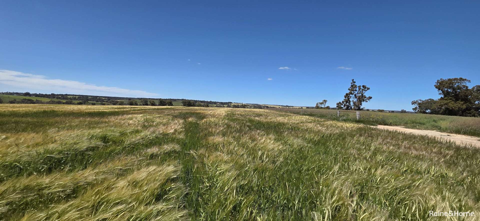 201 Jeffs Road, Jingalup For Sale by Farmbuy.com - image 24