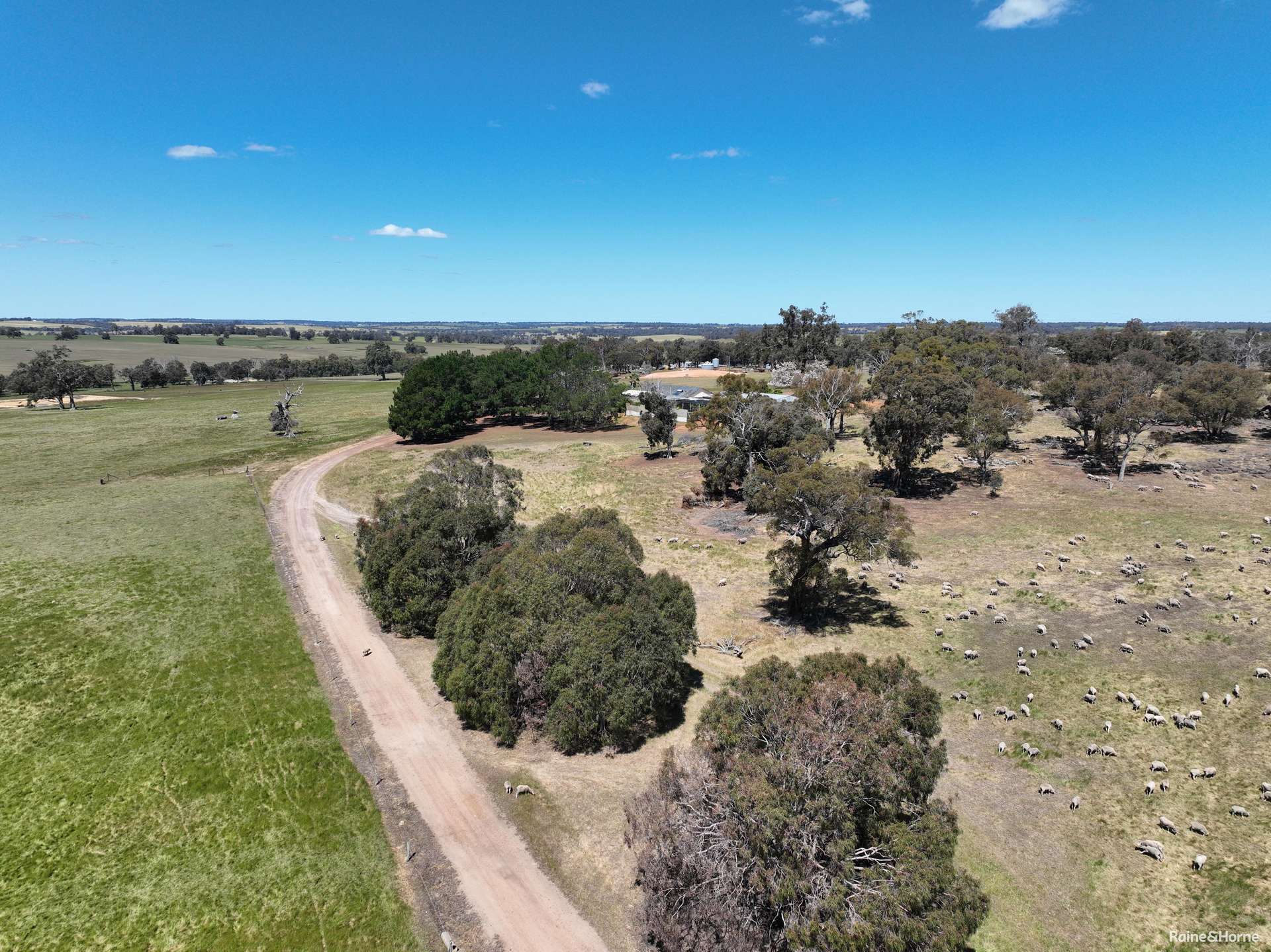 201 Jeffs Road, Jingalup For Sale by Farmbuy.com - image 2