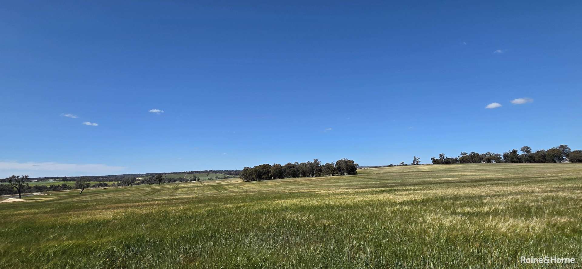201 Jeffs Road, Jingalup For Sale by Farmbuy.com - image 25