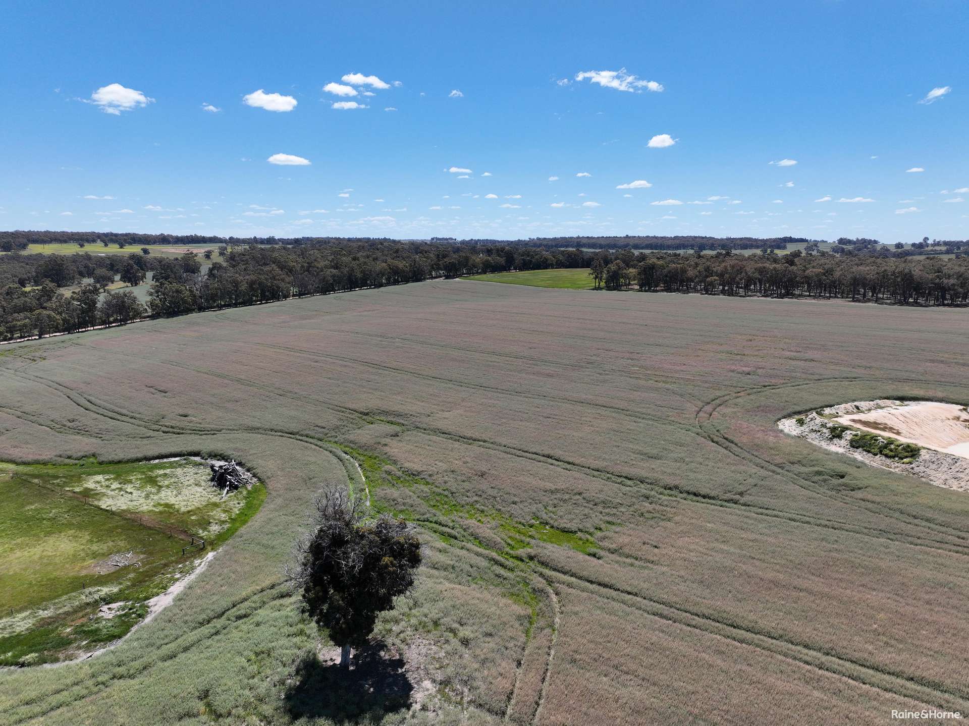 201 Jeffs Road, Jingalup For Sale by Farmbuy.com - image 19