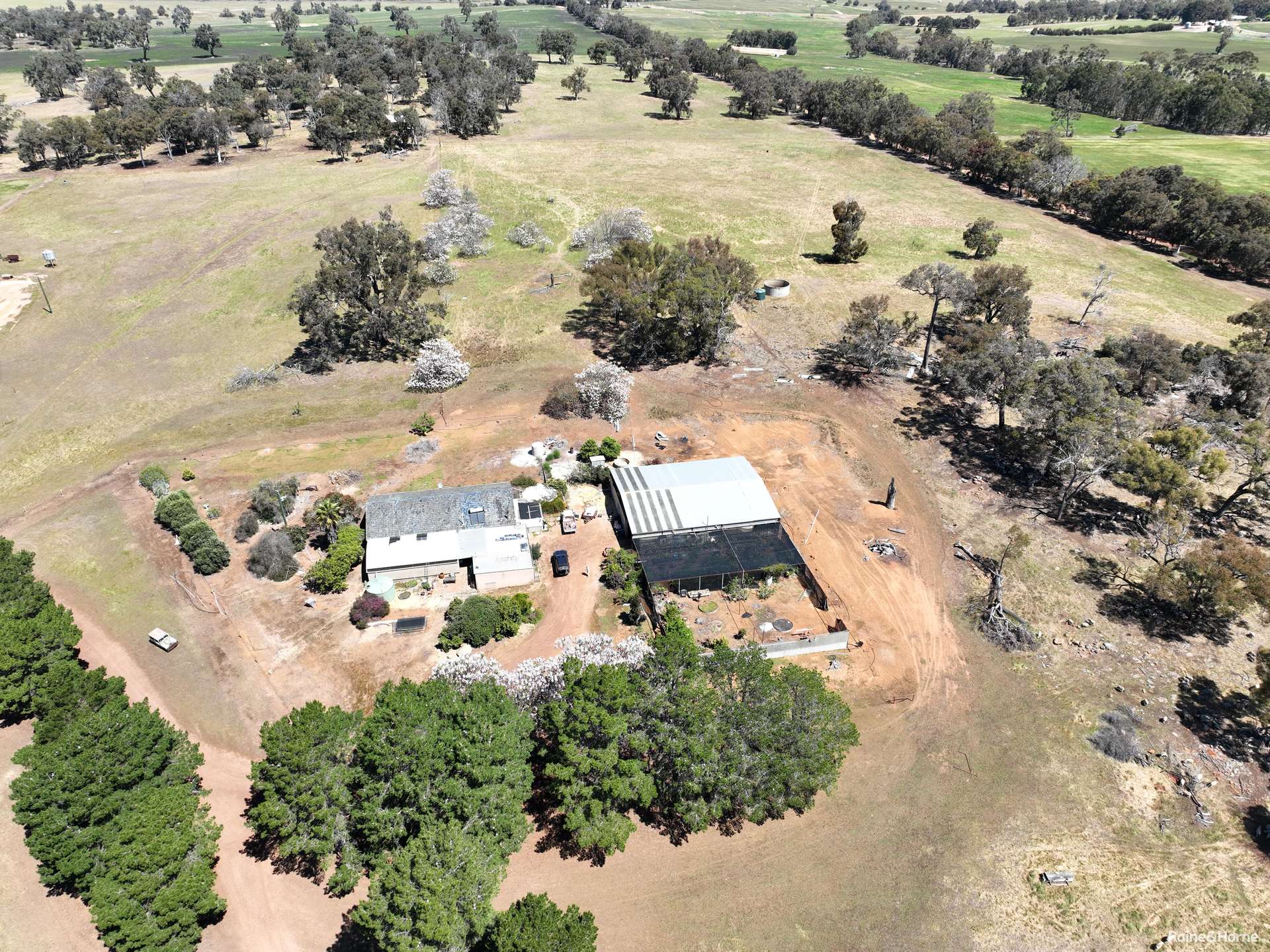 201 Jeffs Road, Jingalup For Sale by Farmbuy.com - image 12