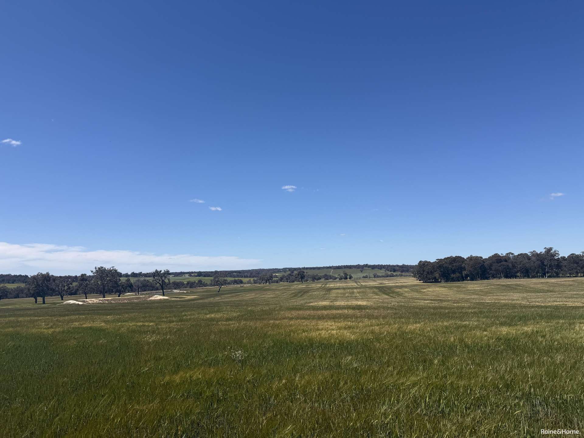 201 Jeffs Road, Jingalup For Sale by Farmbuy.com - image 21