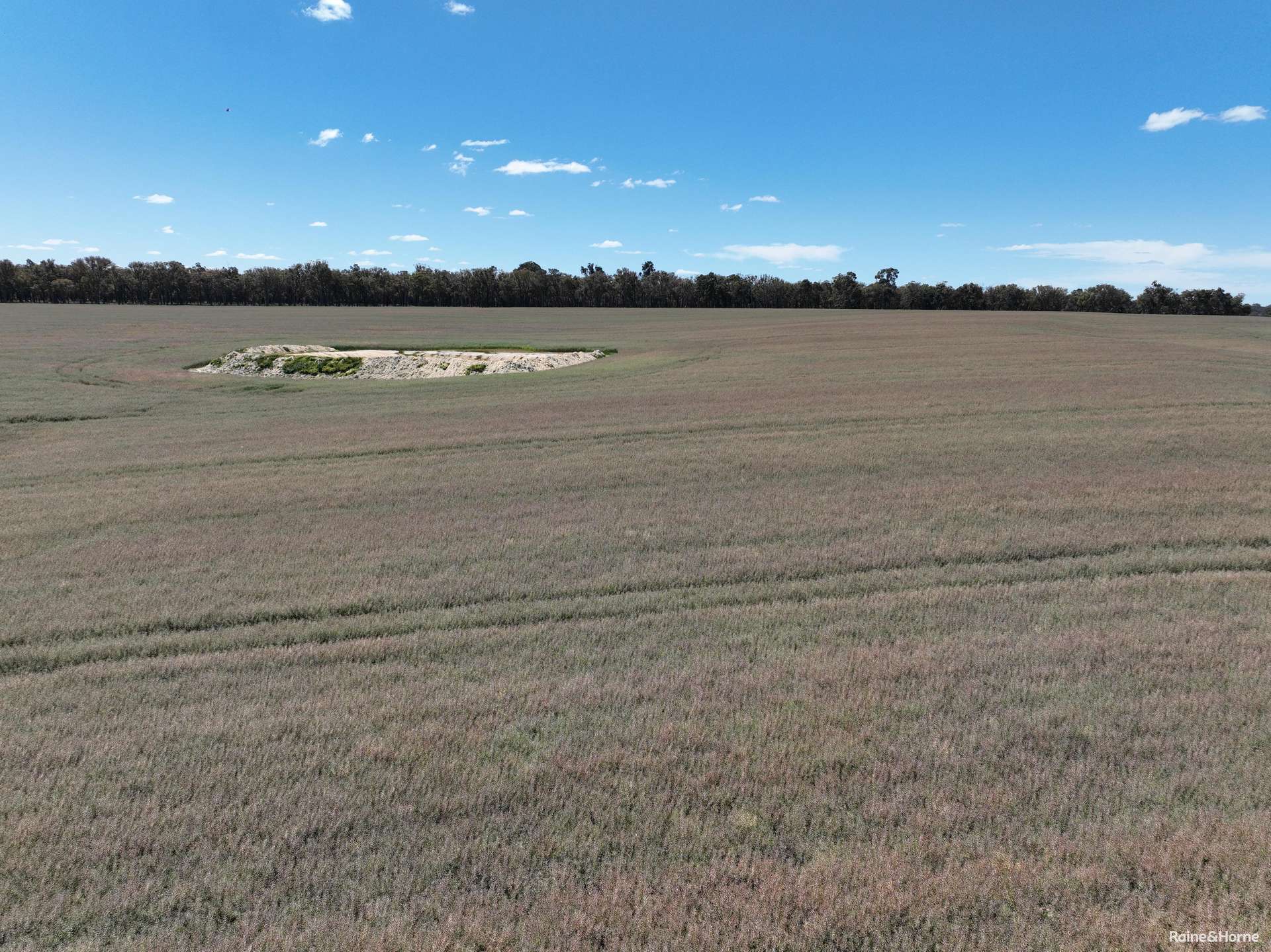 201 Jeffs Road, Jingalup For Sale by Farmbuy.com - image 6