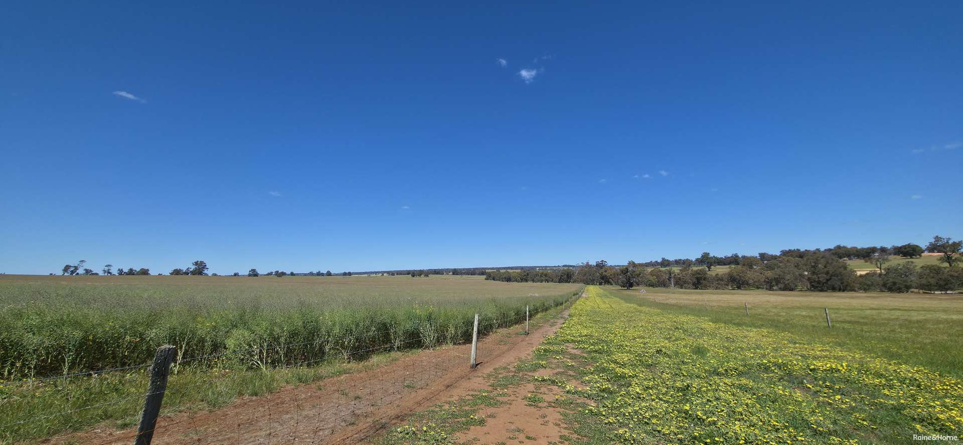 201 Jeffs Road, Jingalup For Sale by Farmbuy.com - image 8