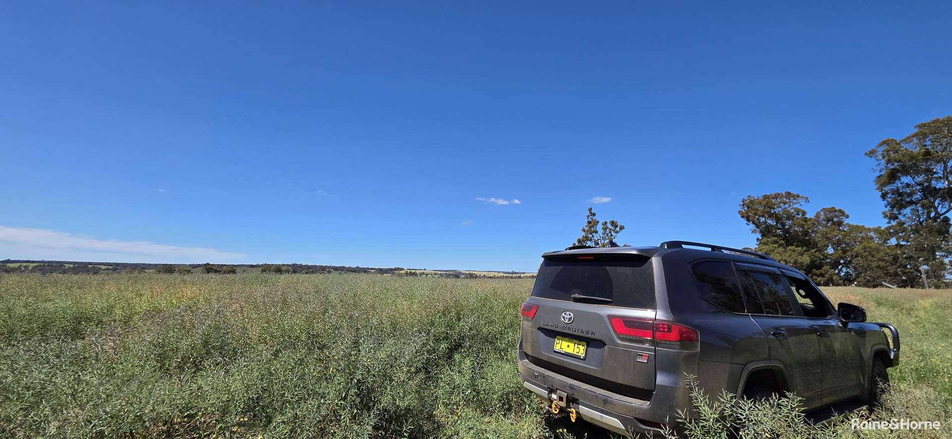201 Jeffs Road, Jingalup For Sale by Farmbuy.com - image 27