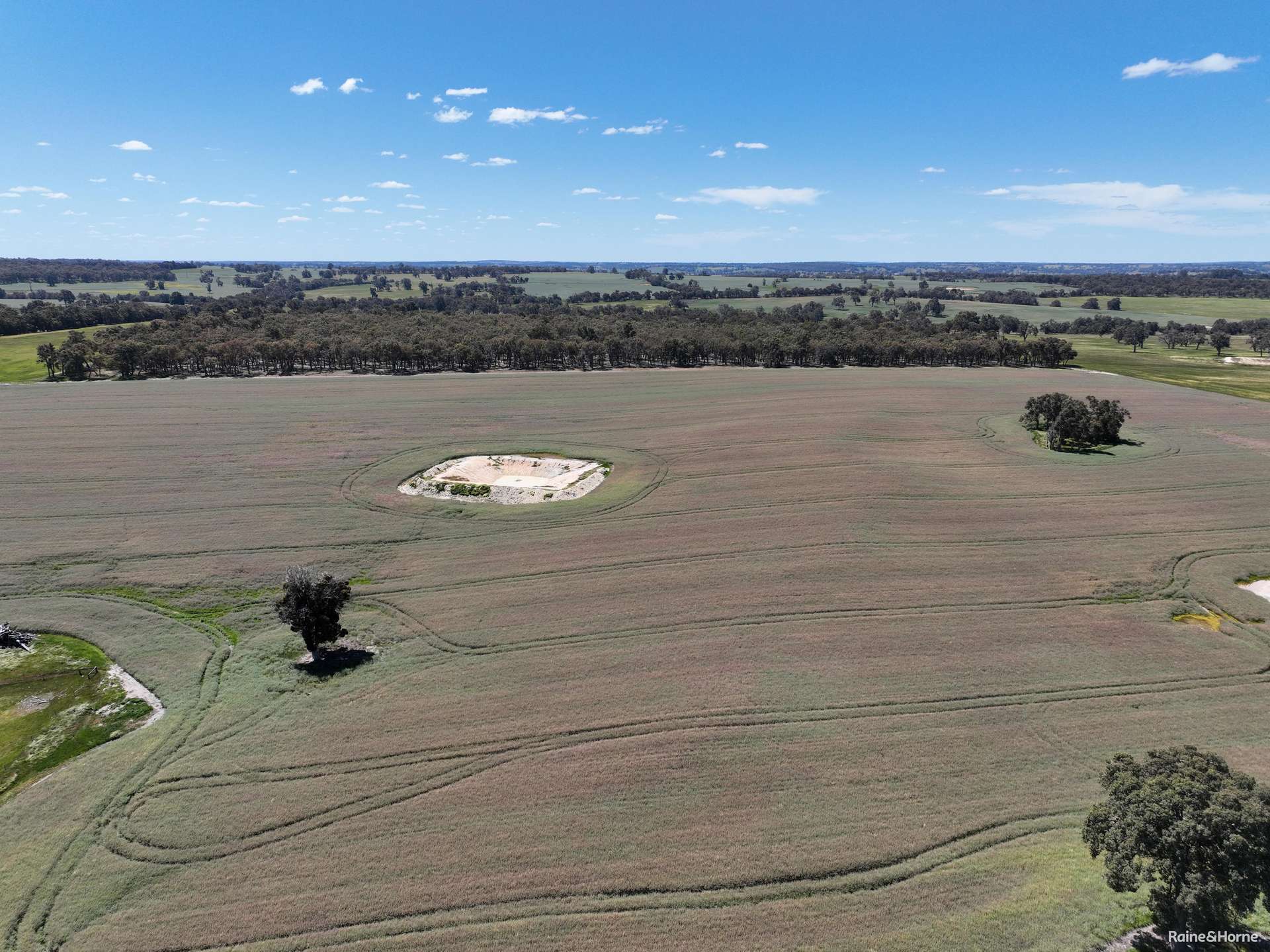 201 Jeffs Road, Jingalup For Sale by Farmbuy.com - image 1