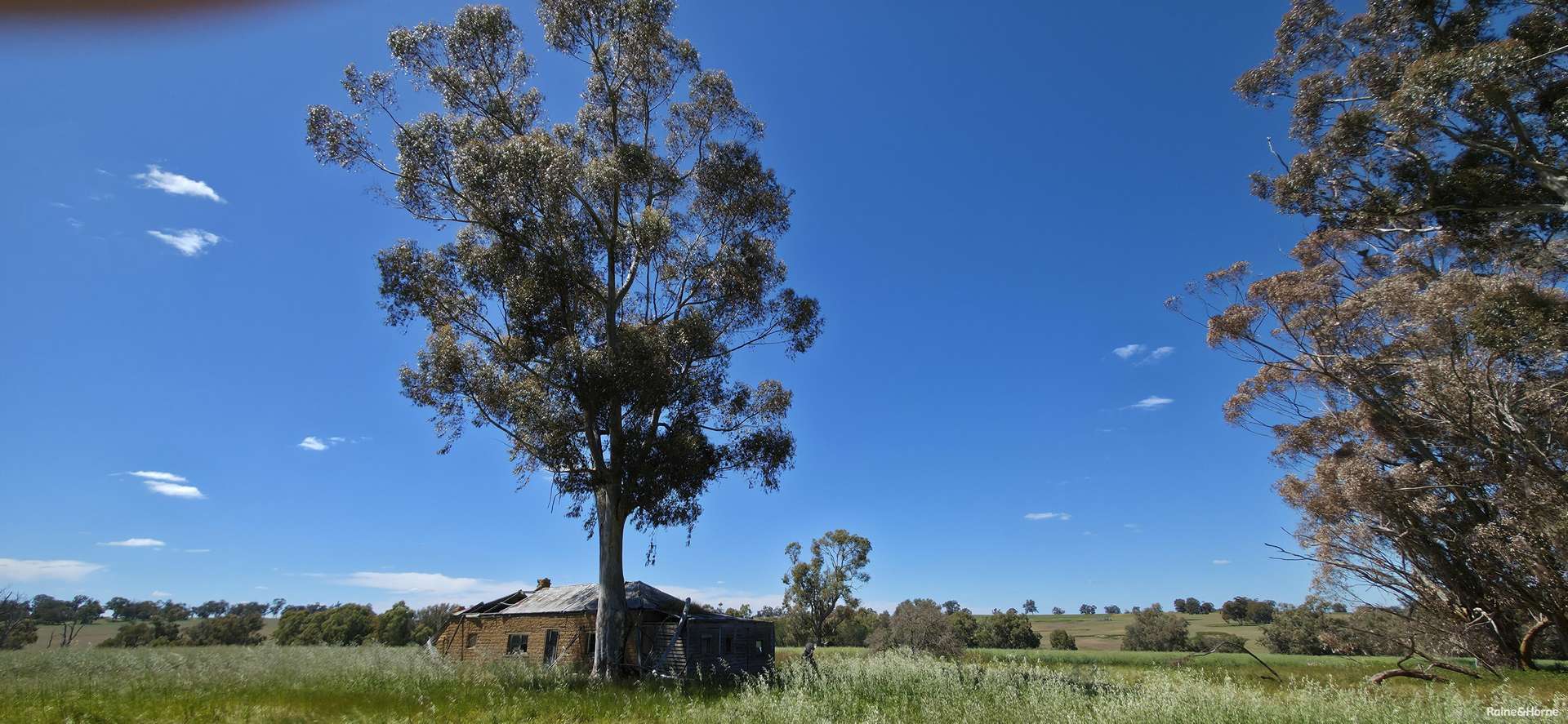 201 Jeffs Road, Jingalup For Sale by Farmbuy.com - image 26