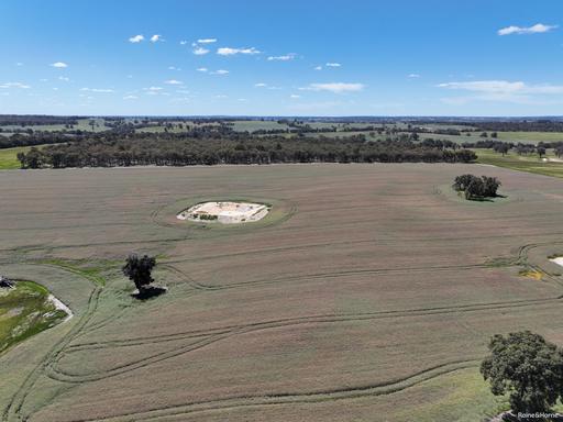 Farm For Sale - WA - Jingalup - 6395 - Ruanui 