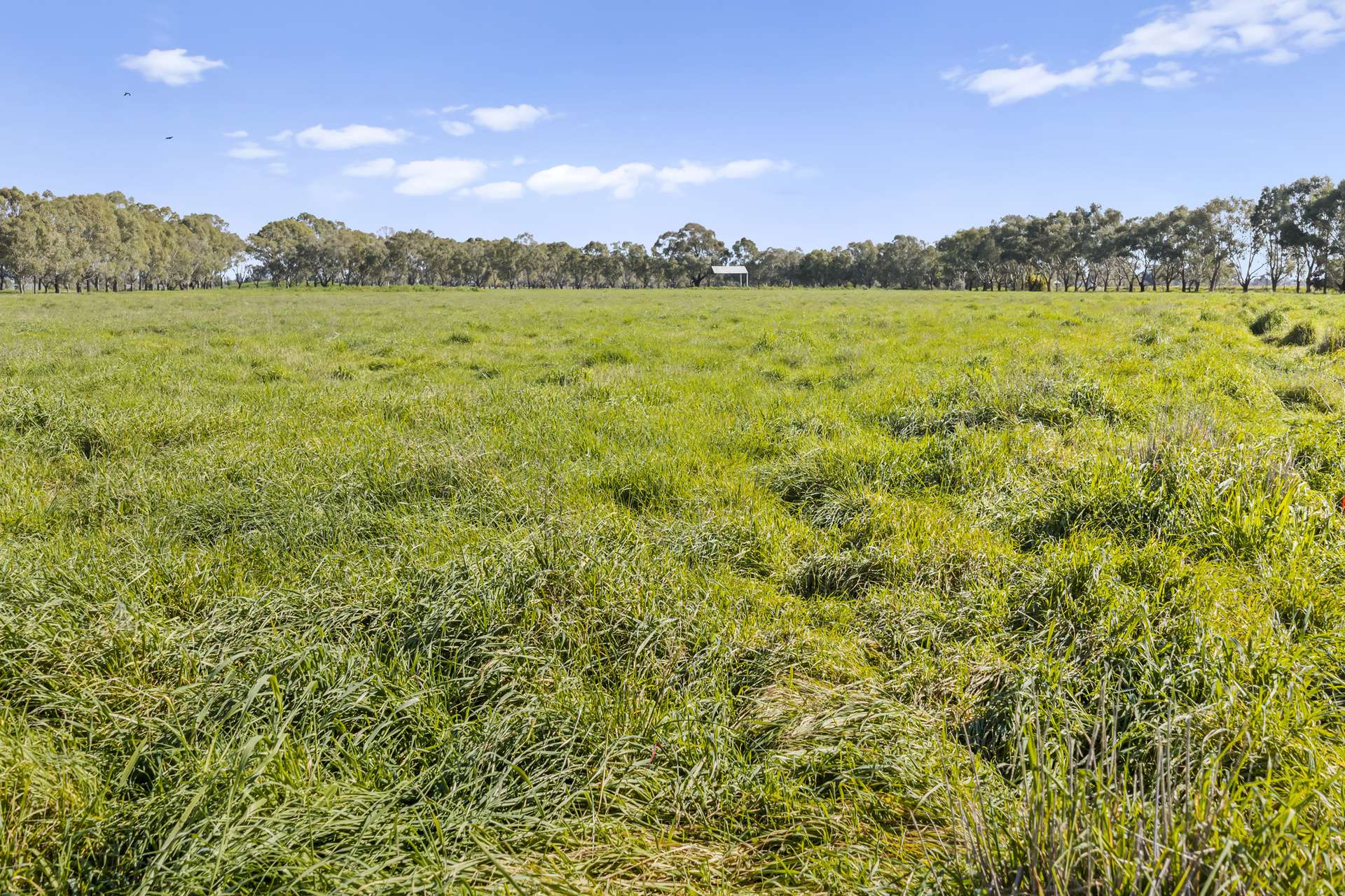 280 Lemnos North Road, Lemnos Expressions of Interest by Farmbuy.com - image 11