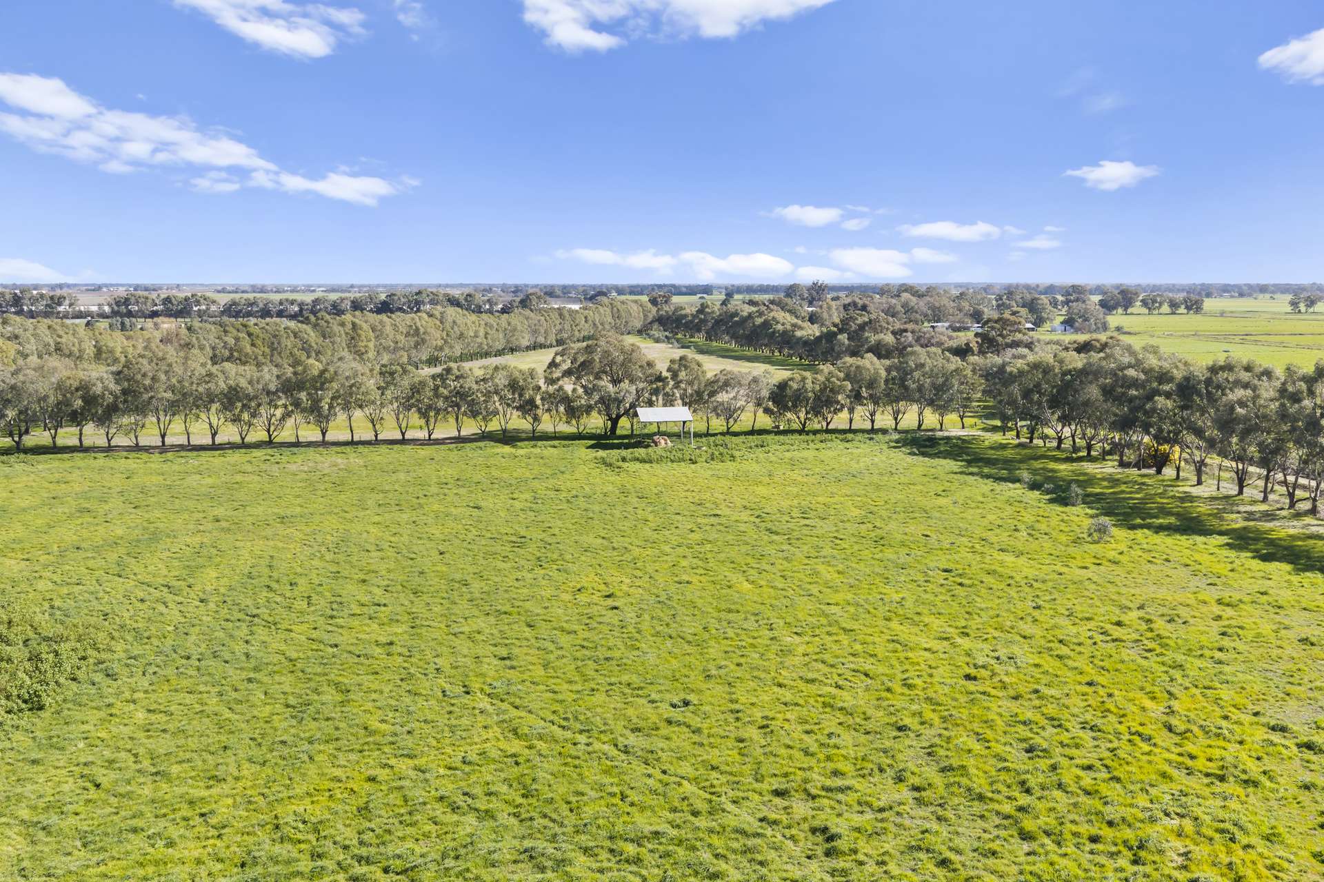 280 Lemnos North Road, Lemnos Expressions of Interest by Farmbuy.com - image 10
