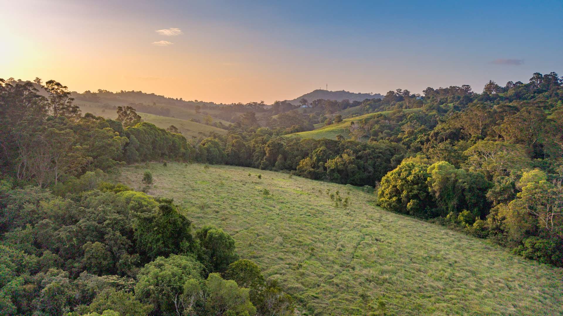 586 Cooroy Belli Creek Road, Black Mountain For Sale by Farmbuy.com - image 5
