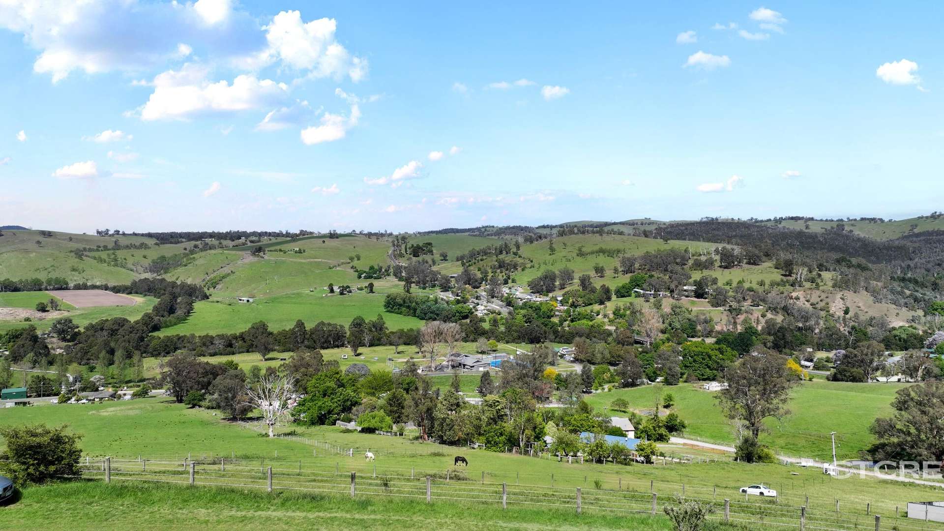 44 Woodgates Road, Buchan For Sale by Farmbuy.com - image 7