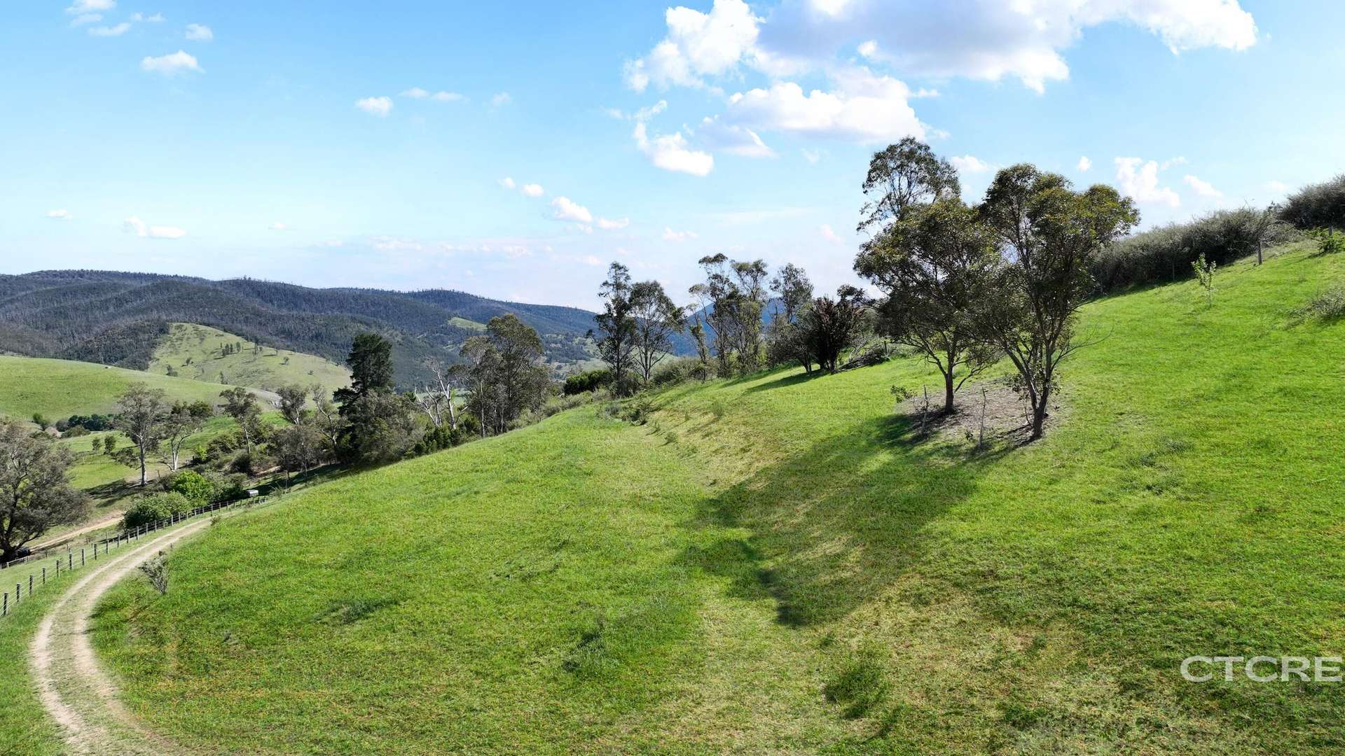 44 Woodgates Road, Buchan For Sale by Farmbuy.com - image 8