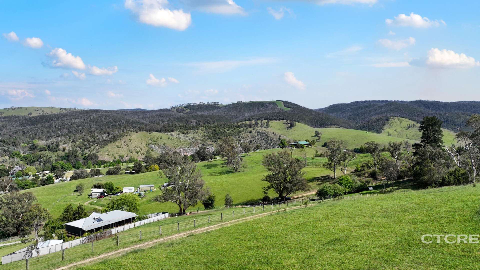 44 Woodgates Road, Buchan For Sale by Farmbuy.com - image 6