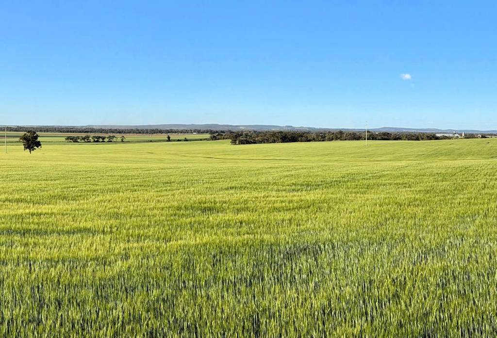 Binneguy Station, Biniguy NSW 2399
