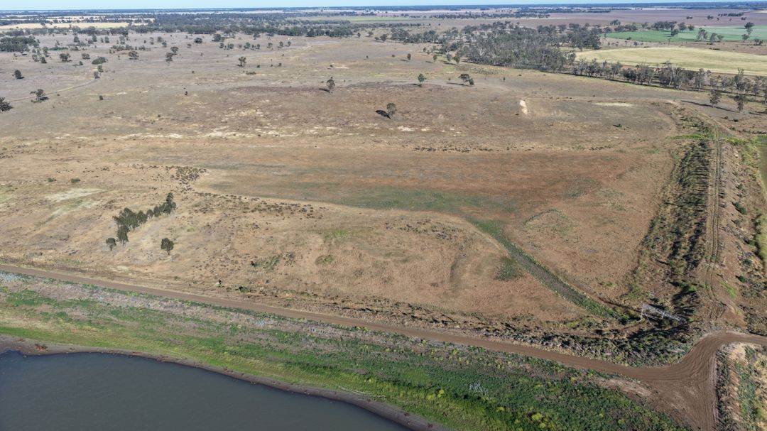 Binneguy Station, Biniguy Auction by Farmbuy.com - image 17