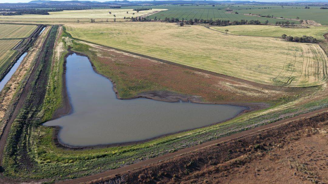 Binneguy Station, Biniguy Auction by Farmbuy.com - image 18