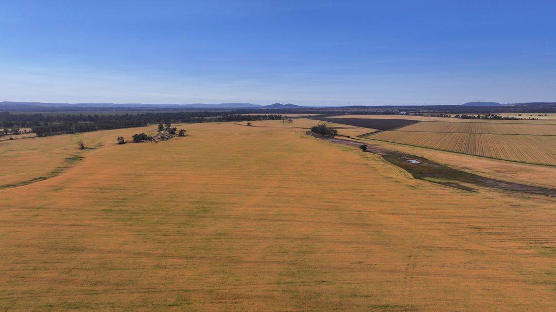 Binneguy Station, Biniguy Auction by Farmbuy.com - image 7