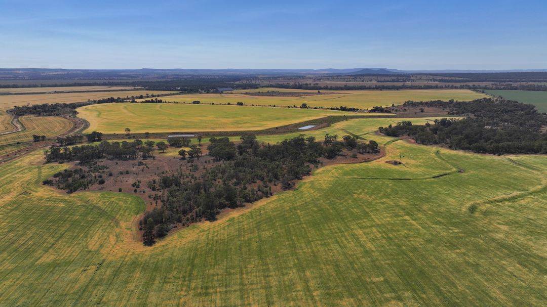 Binneguy Station, Biniguy Auction by Farmbuy.com - image 13