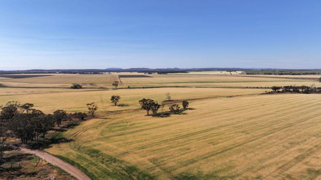 Binneguy Station, Biniguy Auction by Farmbuy.com - image 5
