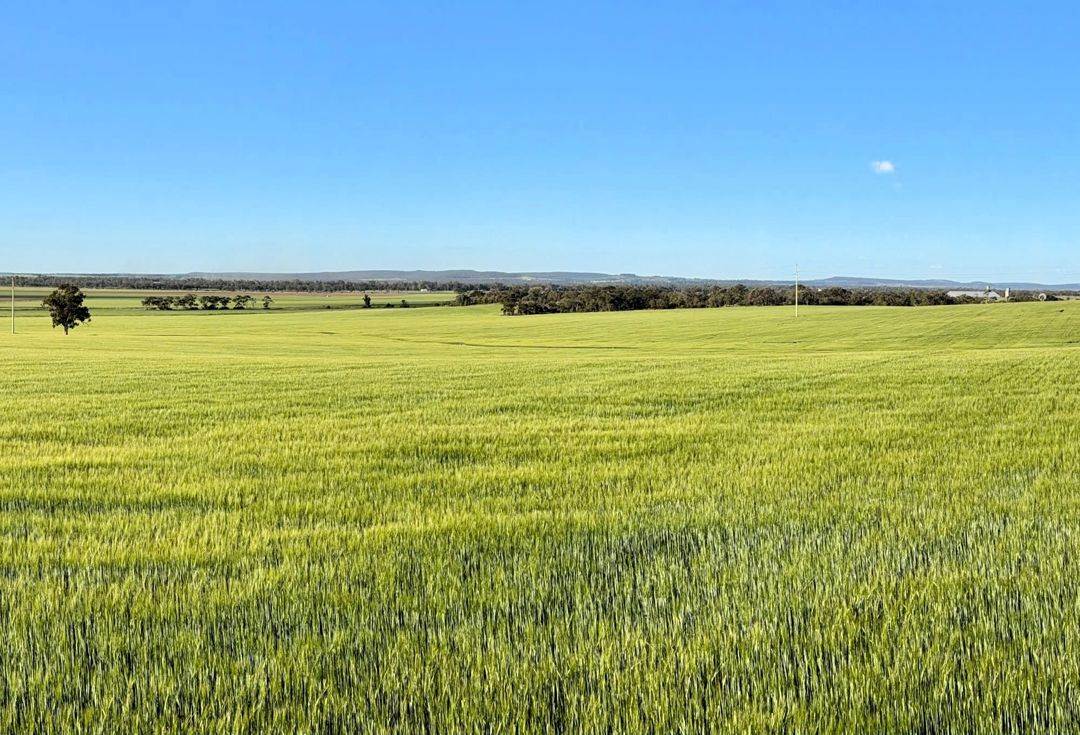 Binneguy Station, Biniguy Auction by Farmbuy.com - image 1