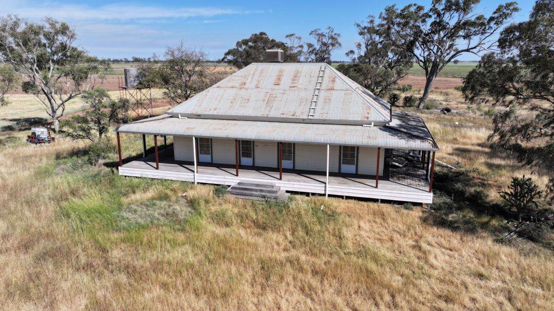 Binneguy Station, Biniguy Auction by Farmbuy.com - image 25