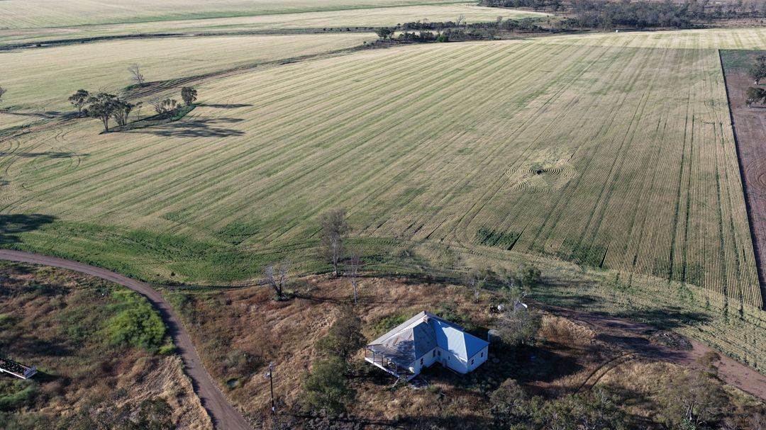 Binneguy Station, Biniguy Auction by Farmbuy.com - image 24
