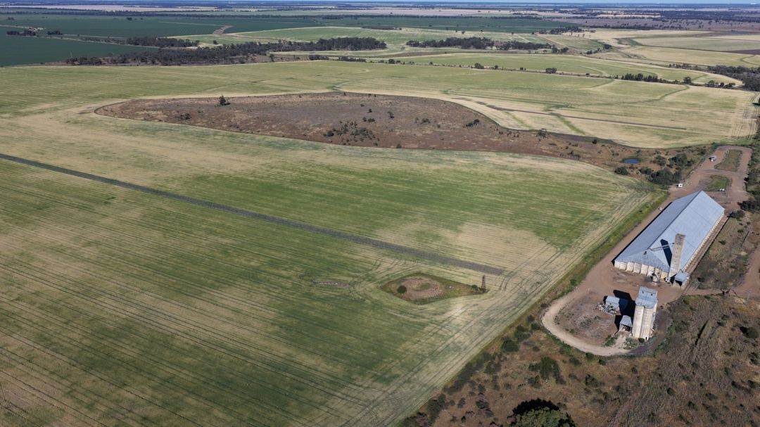 Binneguy Station, Biniguy Auction by Farmbuy.com - image 27