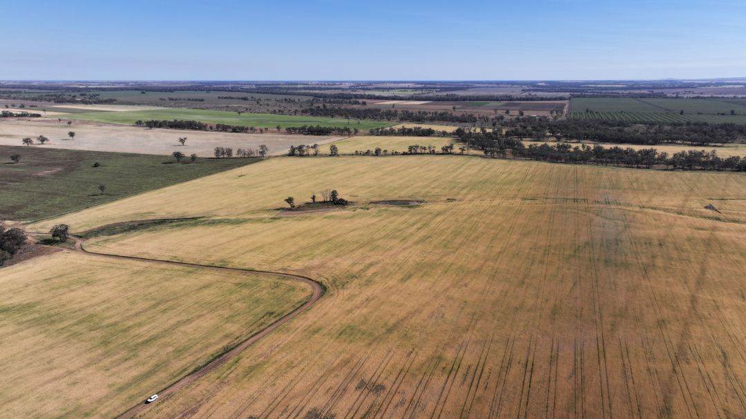 Binneguy Station, Biniguy Auction by Farmbuy.com - image 10