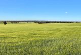 Binneguy Station, Biniguy Auction by Moree Real Estate