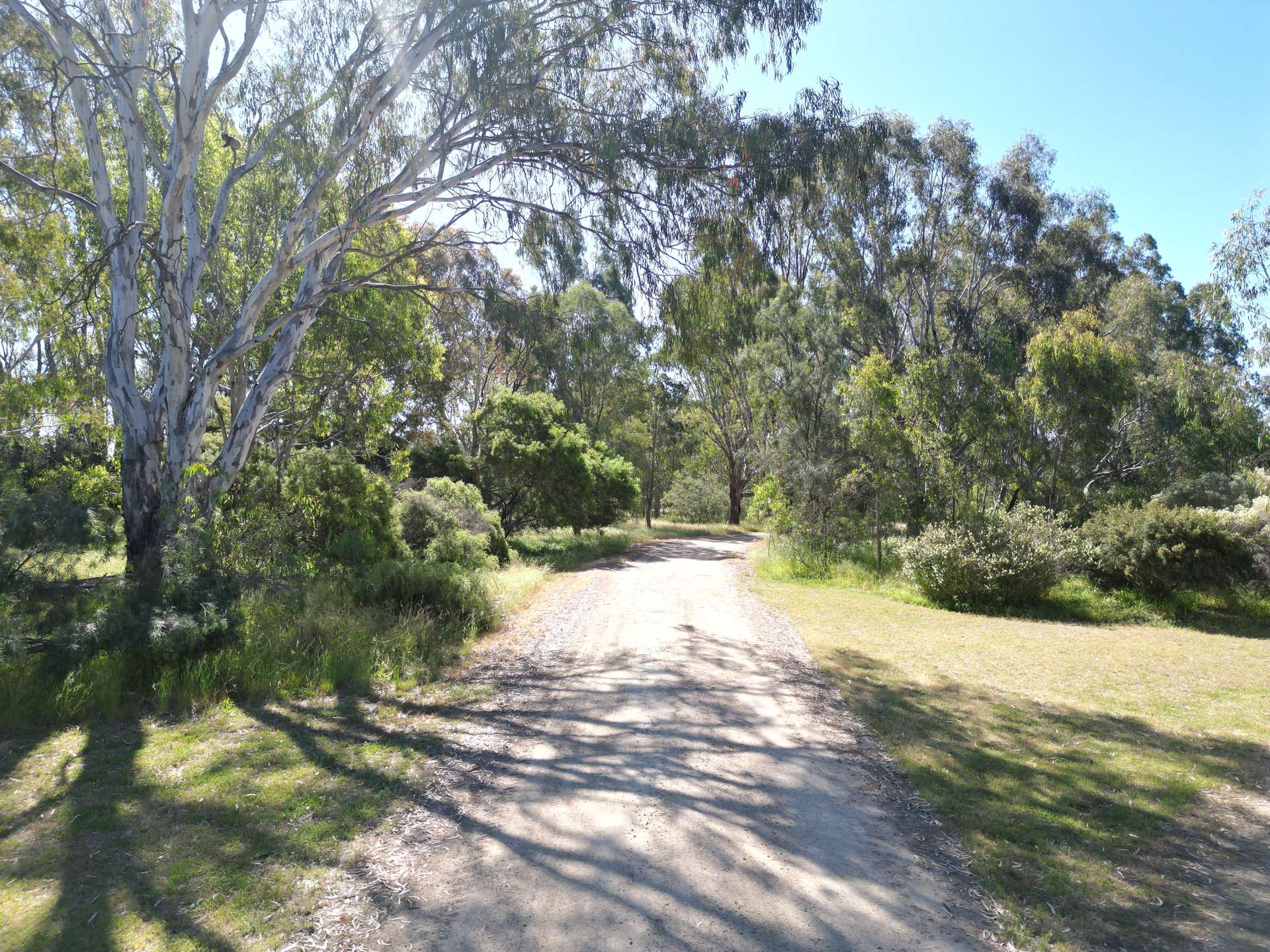 87 Johnsons Lane, Strathmerton For Sale by Farmbuy.com - image 27