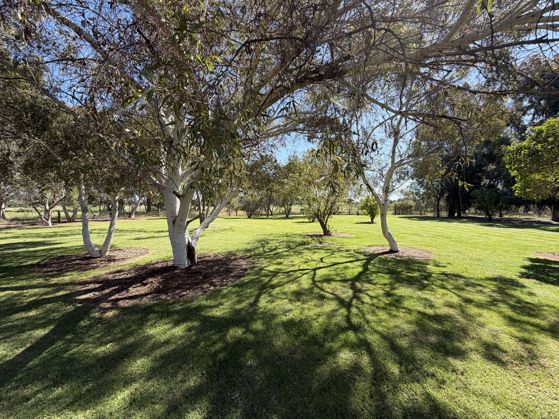 87 Johnsons Lane, Strathmerton For Sale by Farmbuy.com - image 20