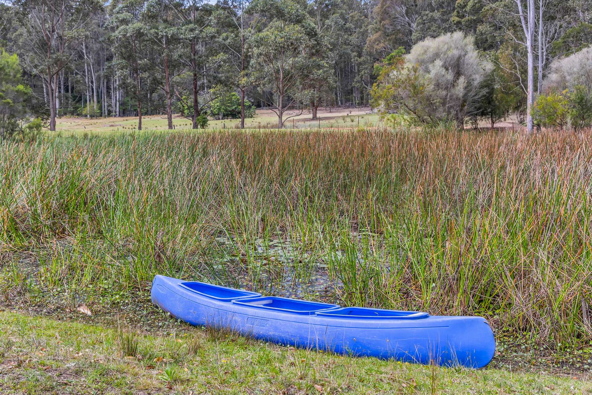 241 Wapengo Lake Road, Wapengo For Sale by Farmbuy.com - image 20