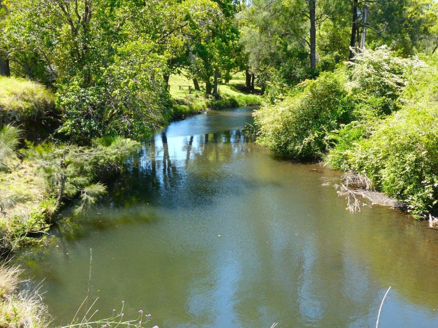 55 Forest Road, Kyogle For Sale by Farmbuy.com - image 27