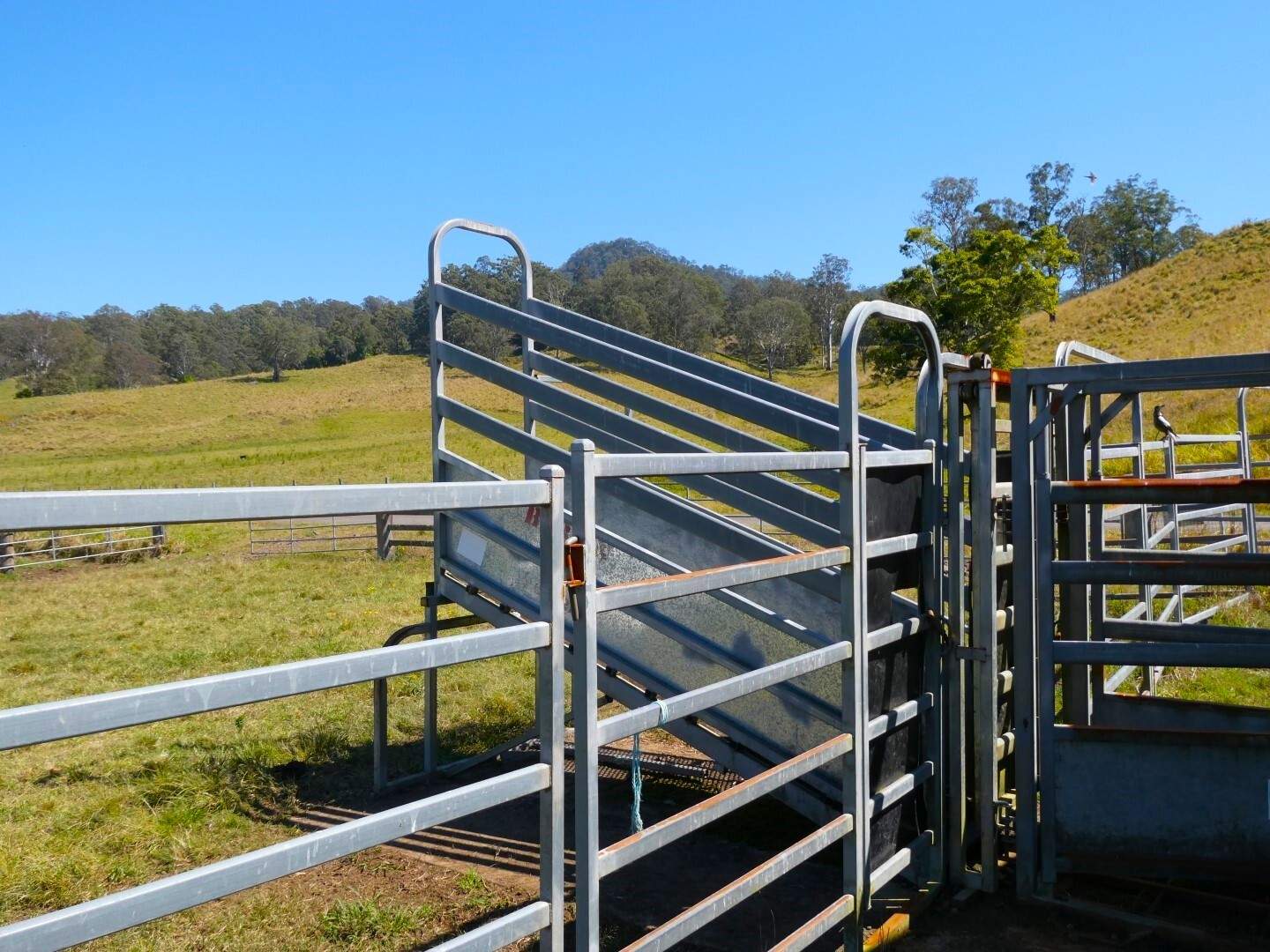 55 Forest Road, Kyogle For Sale by Farmbuy.com - image 35