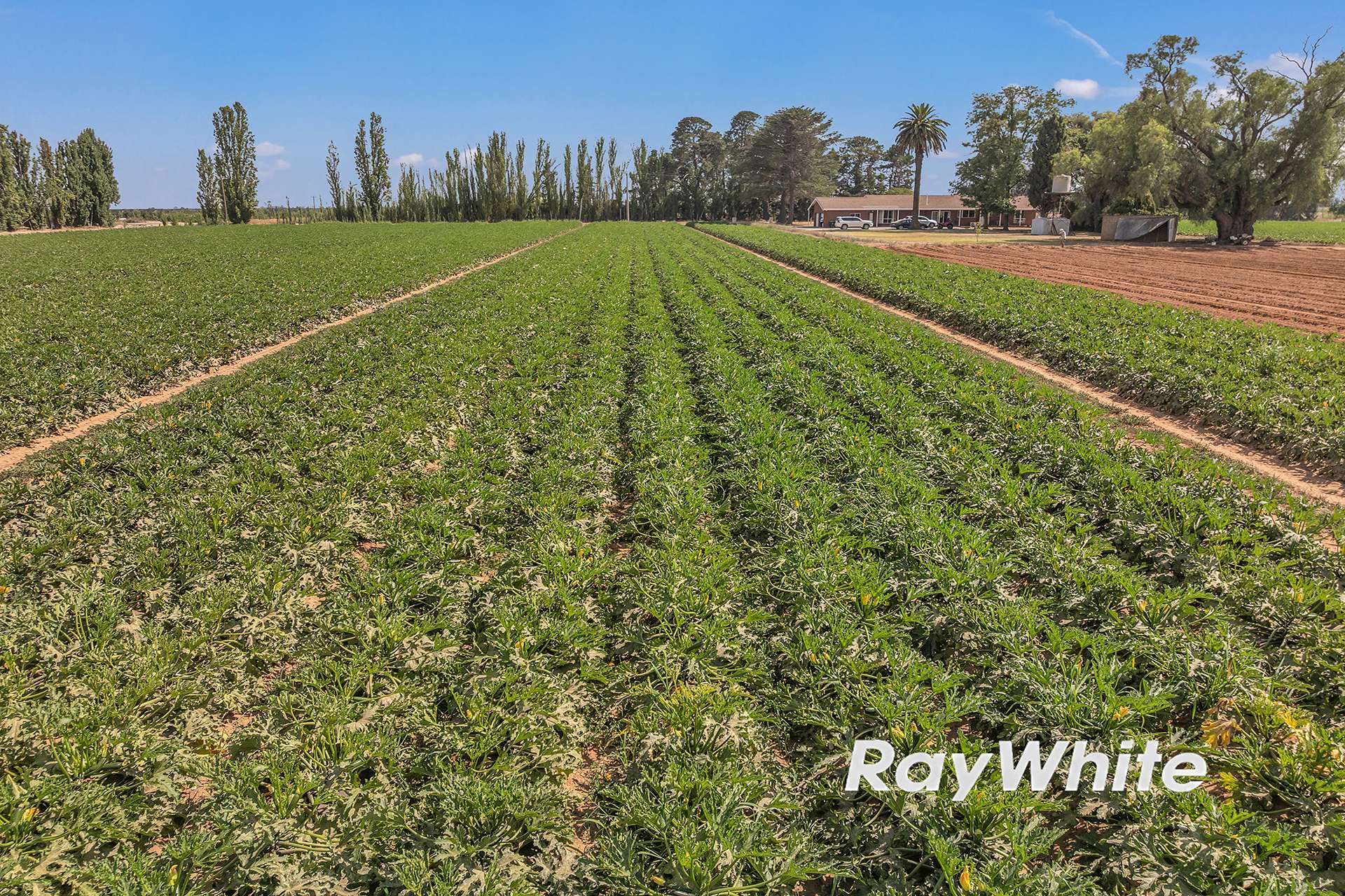 _ 740 Channel Road & 165 Hanlon Road, Shepparton East For Sale by Farmbuy.com - image 5