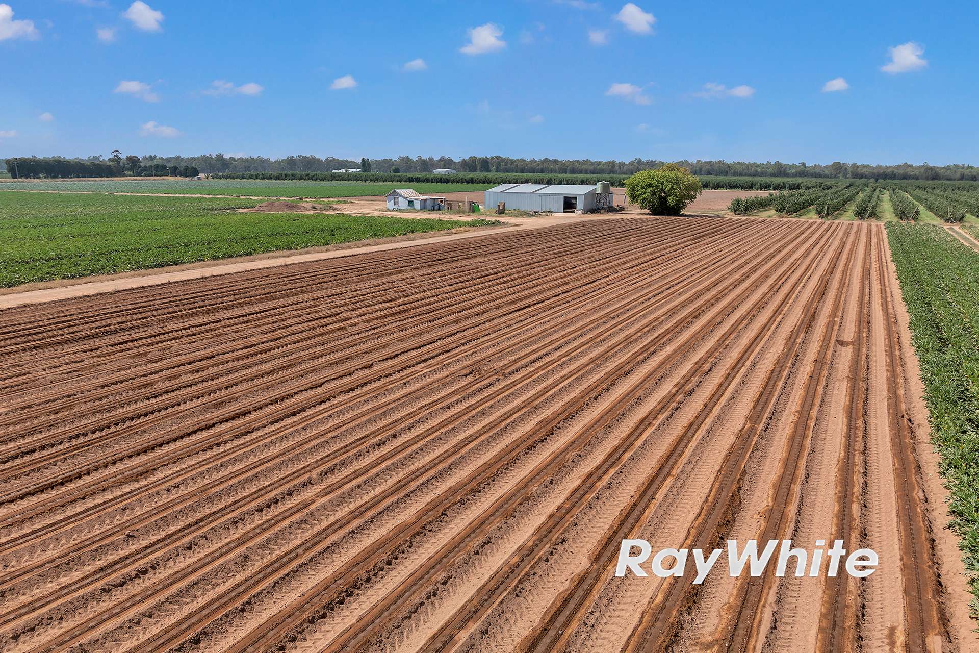 _ 740 Channel Road & 165 Hanlon Road, Shepparton East For Sale by Farmbuy.com - image 7
