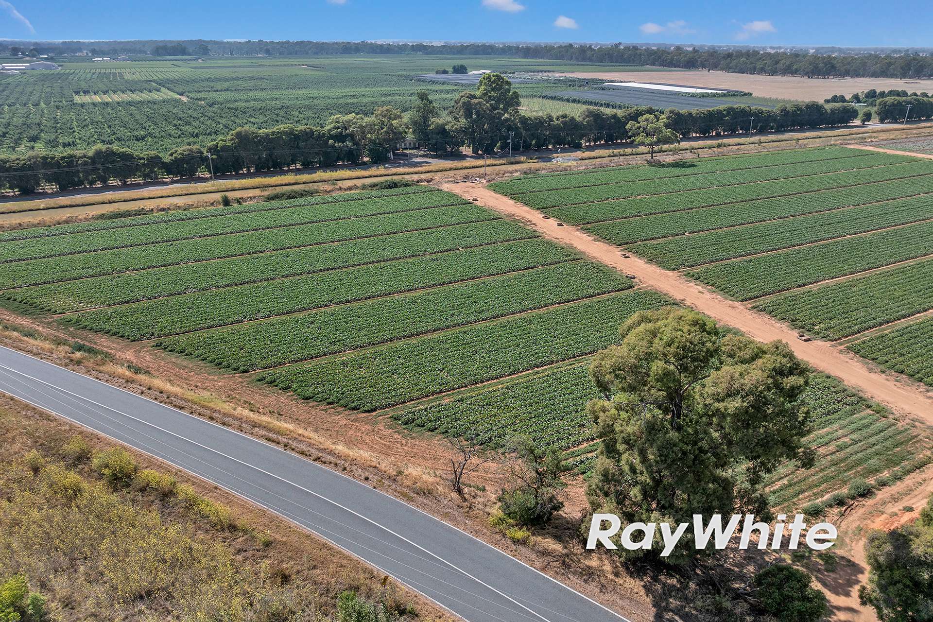 _ 740 Channel Road & 165 Hanlon Road, Shepparton East For Sale by Farmbuy.com - image 4