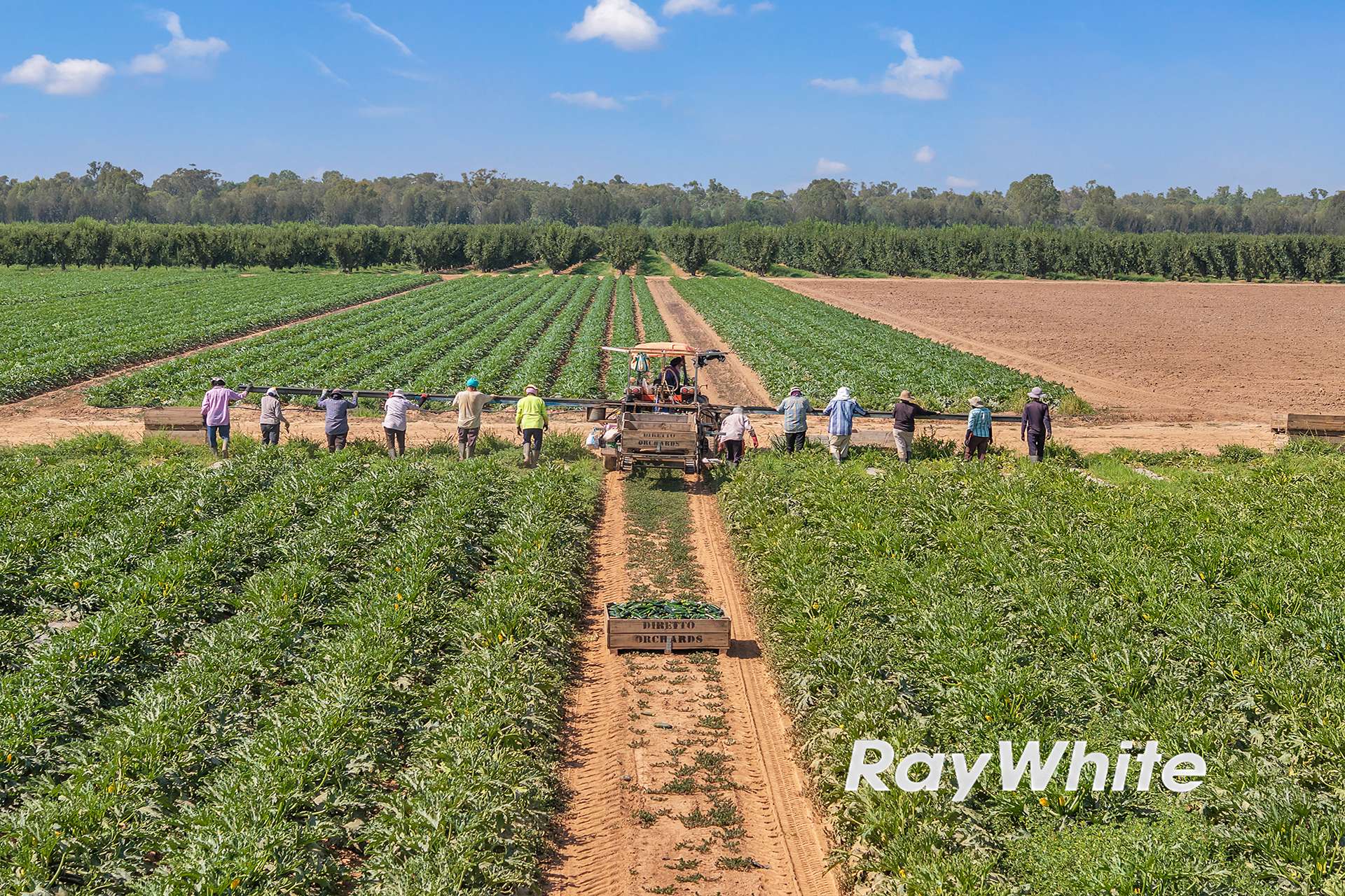 _ 740 Channel Road & 165 Hanlon Road, Shepparton East For Sale by Farmbuy.com - image 6