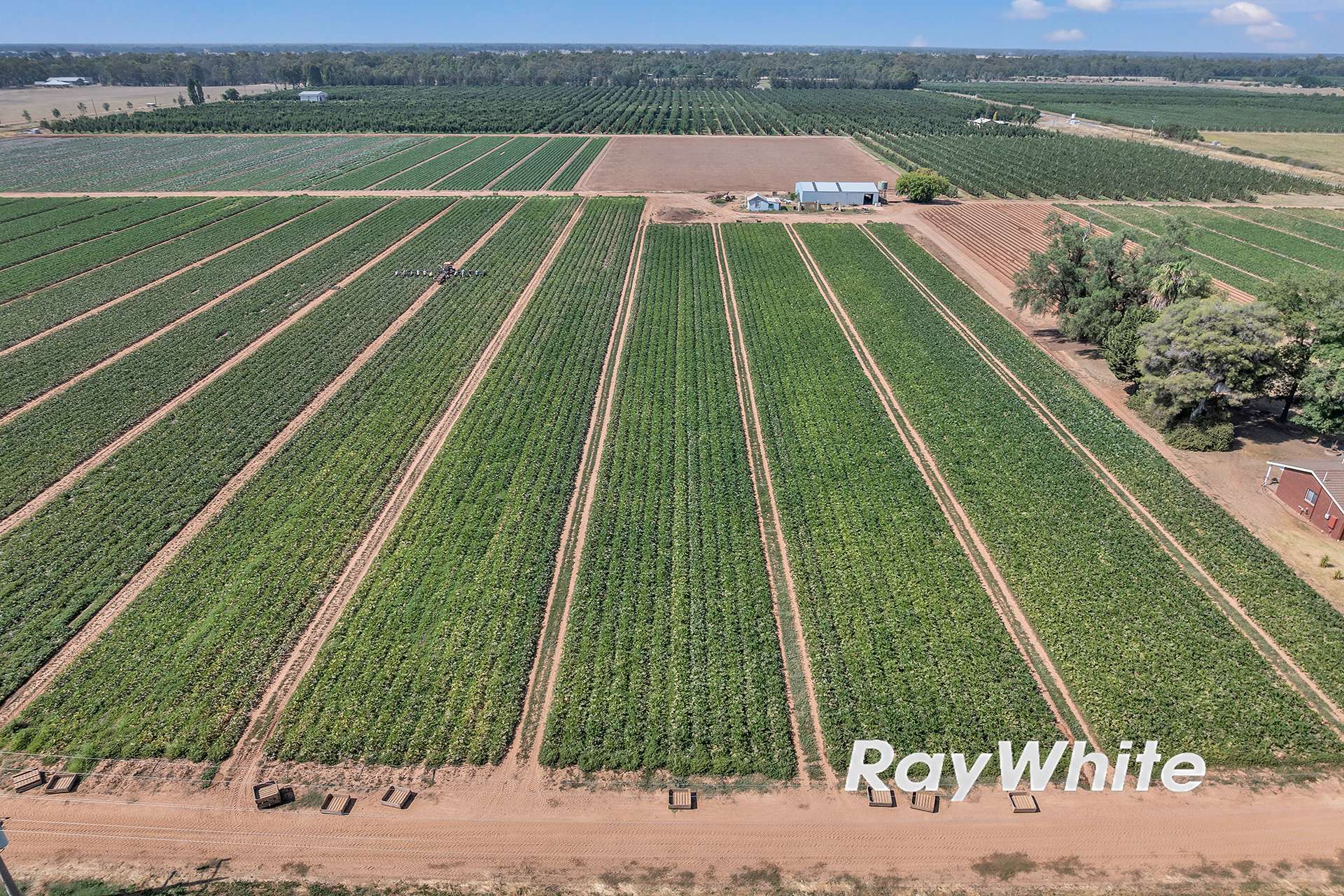 _ 740 Channel Road & 165 Hanlon Road, Shepparton East For Sale by Farmbuy.com - image 2