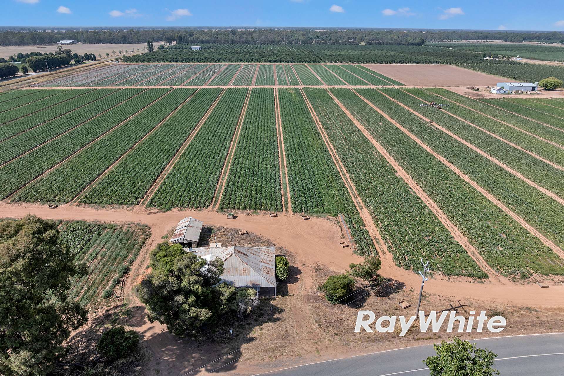 _ 740 Channel Road & 165 Hanlon Road, Shepparton East For Sale by Farmbuy.com - image 3
