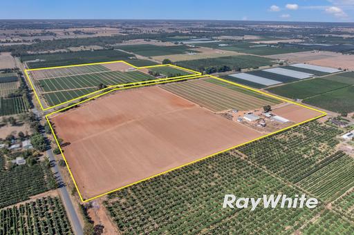 Farm For Sale - VIC - Shepparton East - 3631 - Horticultural Land & Infrastructure Opportunity 
