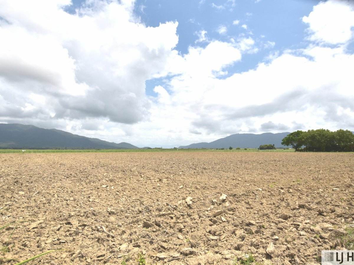 Lot 164 & Lot 165 East Feluga Road, East Feluga For Sale by Farmbuy.com - image 7