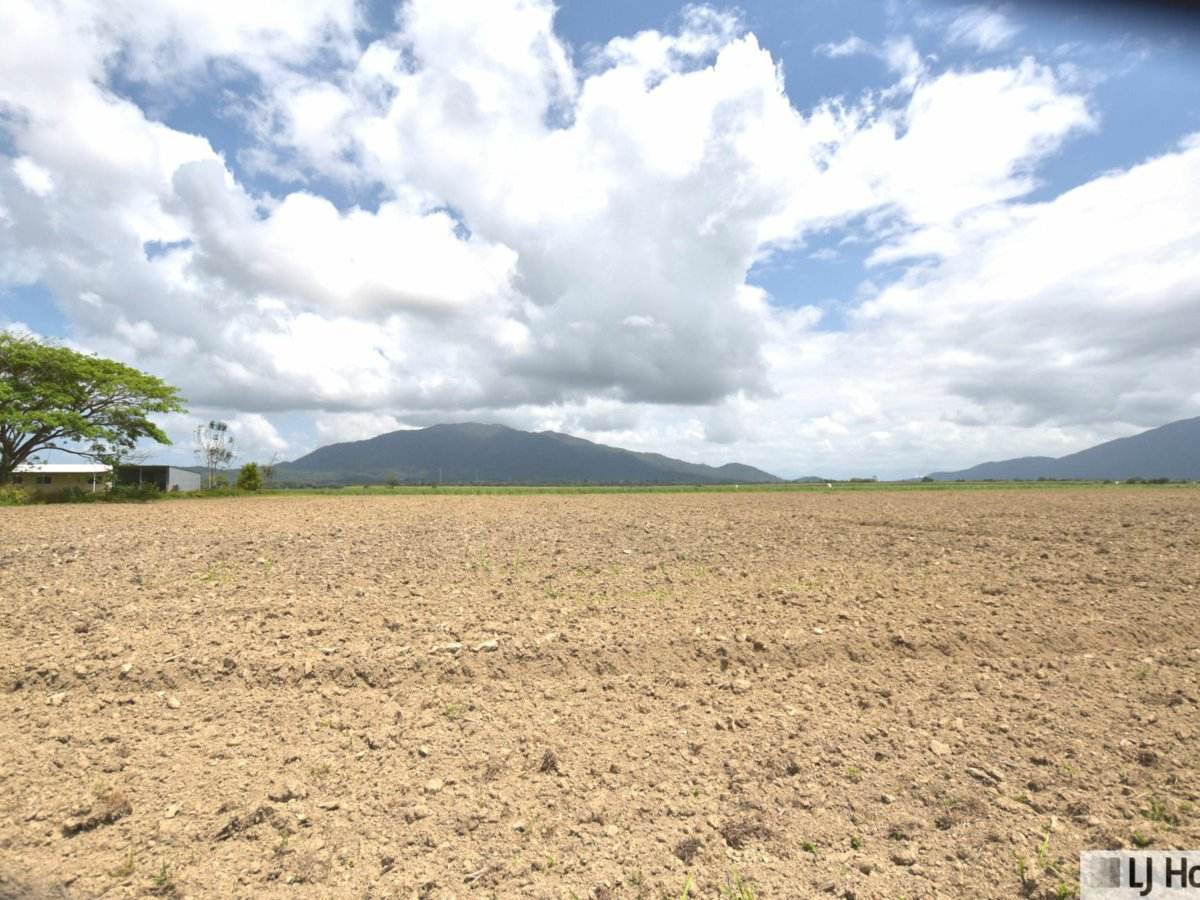 Lot 164 & Lot 165 East Feluga Road, East Feluga For Sale by Farmbuy.com - image 3