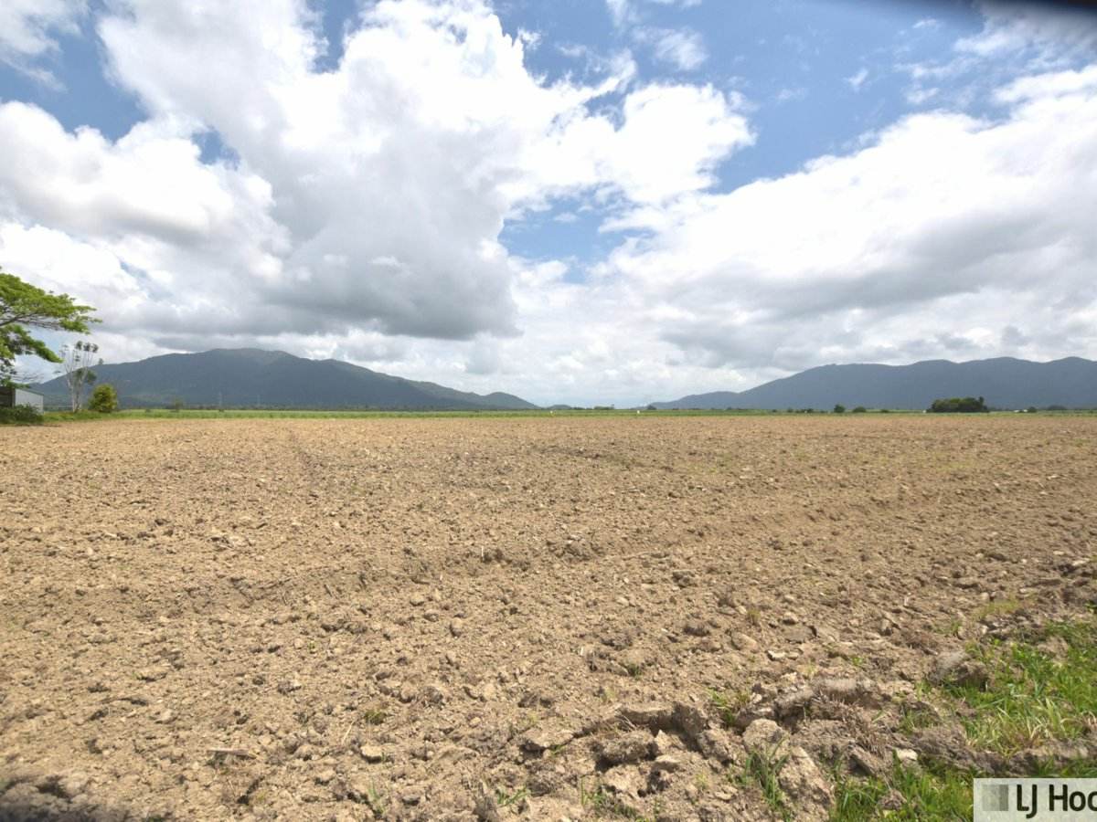 Lot 164 & Lot 165 East Feluga Road, East Feluga For Sale by Farmbuy.com - image 4